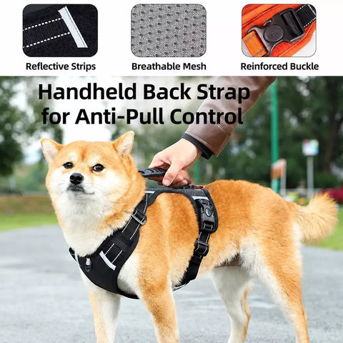 Nylon Dog Harness with Optional Leash