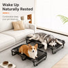 Foldable Elevated Dog Bed with Breathable Mesh