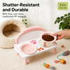 Raised Ceramic Double Pet Bowl Set