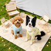 Lightweight Four-Leg Dog Shirt for Warm-Weather Wear