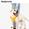Lightweight Nylon Dog Harness and Leash Set for Everyday Walks