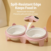 Ceramic Double Pet Bowls with Elevated Stand