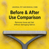 Double-Sided Pet Hair Remover