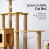 Cat Tree with Scratching Posts and a Hideaway
