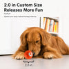 Interactive Squeaky Bouncing Ball Dog Toy