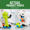Latex Squeaky Dog Toy for Small and Medium Dogs