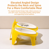 Ceramic Double Cat Bowls with Stand