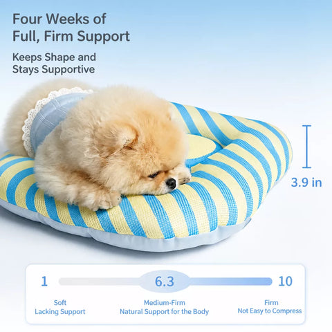 Removable Washable Pet Bed Mat for Cats & Dogs