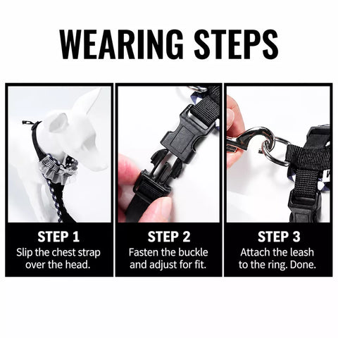 Nylon H-Style Dog Harness and 6.6-Foot Leash Set
