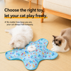 Interactive Rechargeable Cat Toy with Hideaway Cover