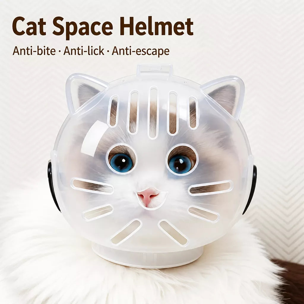 Clear Plastic Recovery Cone for Cats