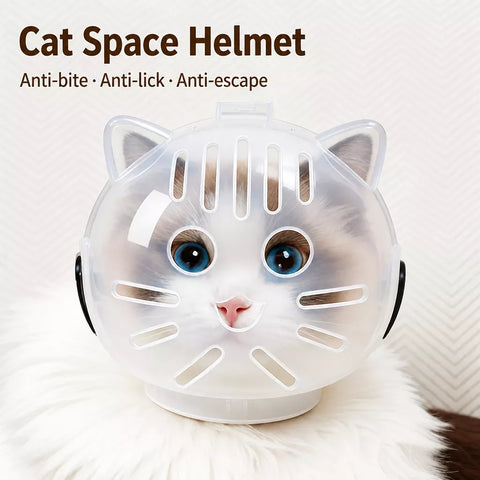Clear Plastic Recovery Cone for Cats