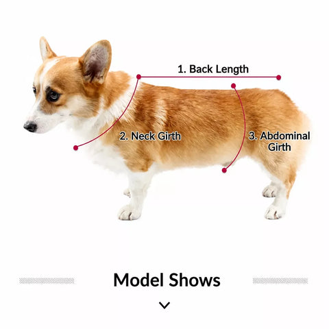 Waterproof Full-Coverage Dog Rain Poncho for Rainy Walks