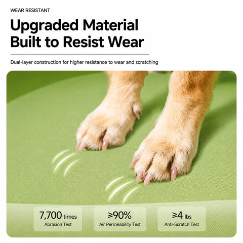 Sofa-Style Dog Bed for Small to Medium Dogs