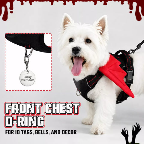 Winged Nylon Dog Harness with Leash Options