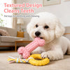Dog Chew and Play Toys