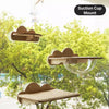 Window-Mounted Cat Climbing System with Perches and Scratching Posts