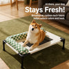 Elevated Pet Cot with Removable Bolster