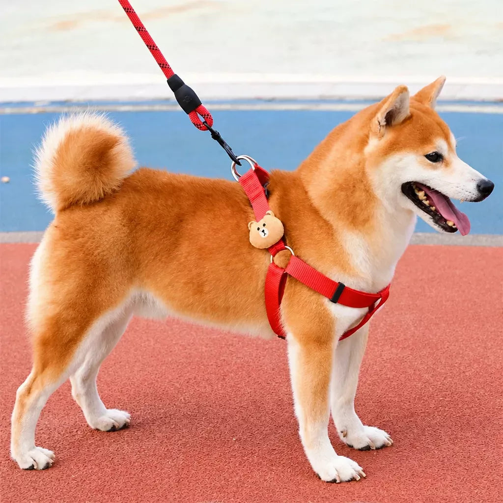 Adjustable Nylon Dog Harness & Leash