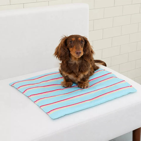 Striped Gel Pet Mat for Dogs & Cats