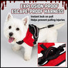 Winged Nylon Dog Harnesses & Leashes