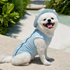 Reflective Lightweight Mesh Vest for Dogs