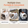 Ventilated Portable Pet Carrier for Small Dogs & Cats