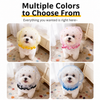 Breathable Dog Mesh Muzzle for Small and Medium Dogs - p-00279