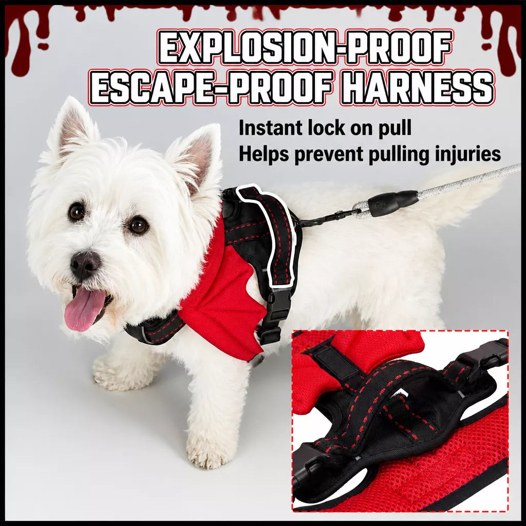 Winged Nylon Dog Harness with Leash Options