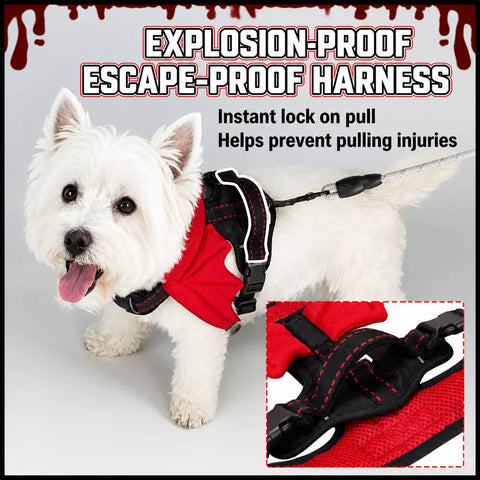 Winged Nylon Dog Harness with Leash Options