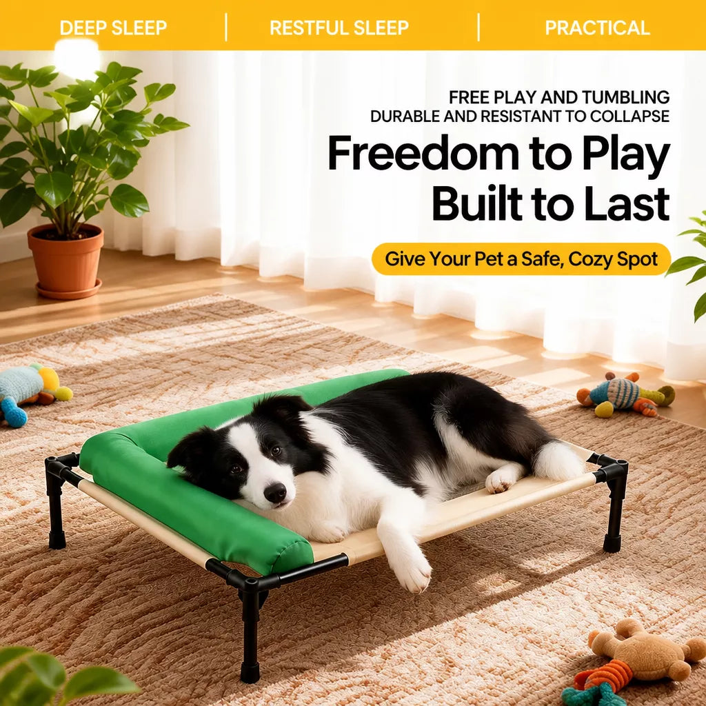 Elevated Washable Pet Bed for Small to Medium Dogs & Cats