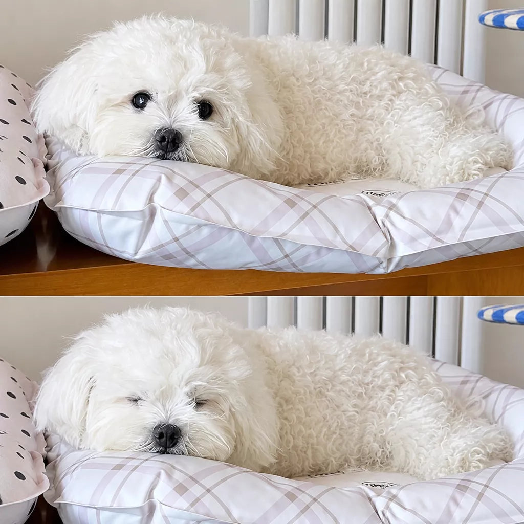 Waterproof Nylon Pet Mat for Cats and Small Dogs
