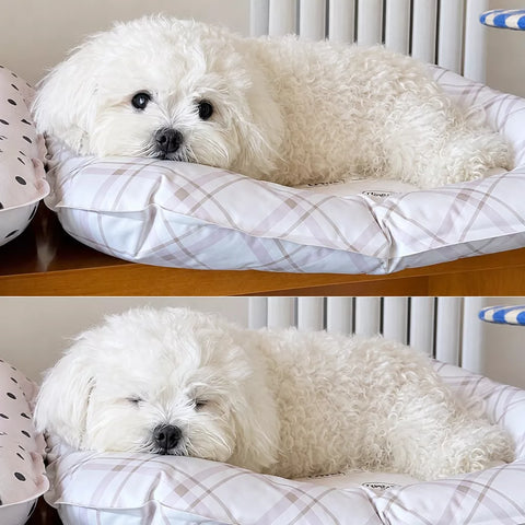 Waterproof Nylon Pet Mat for Cats and Small Dogs