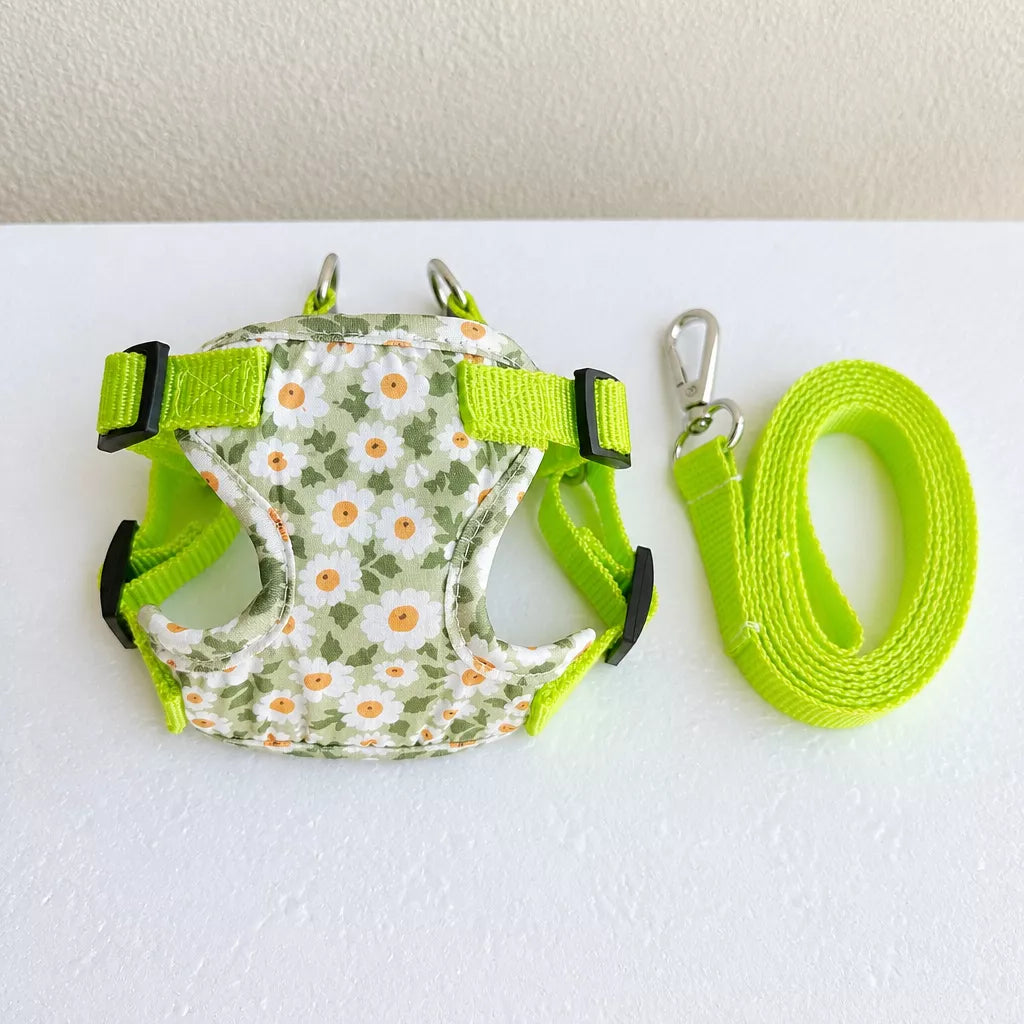 Reflective Vest Harness and Leash Set for Cats and Small Dogs