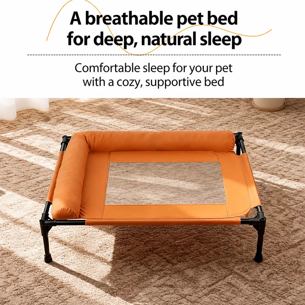 Elevated Mesh Dog Cot with Iron Frame for Small and Large Dogs