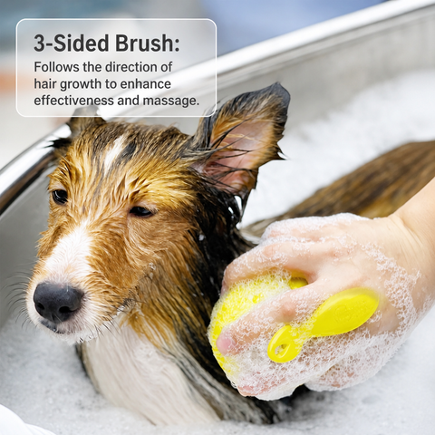 Pet Bath & Grooming Brush for Dogs and Cats
