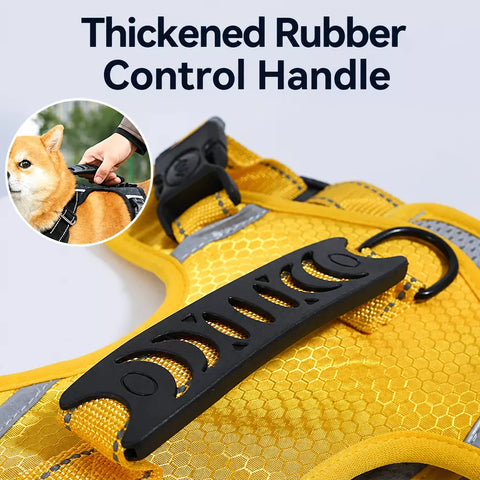 Nylon Dog Harness with Optional Leash