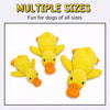 Plush Squeaky Dog Toys – Duck, Rope & Multi-Piece Designs