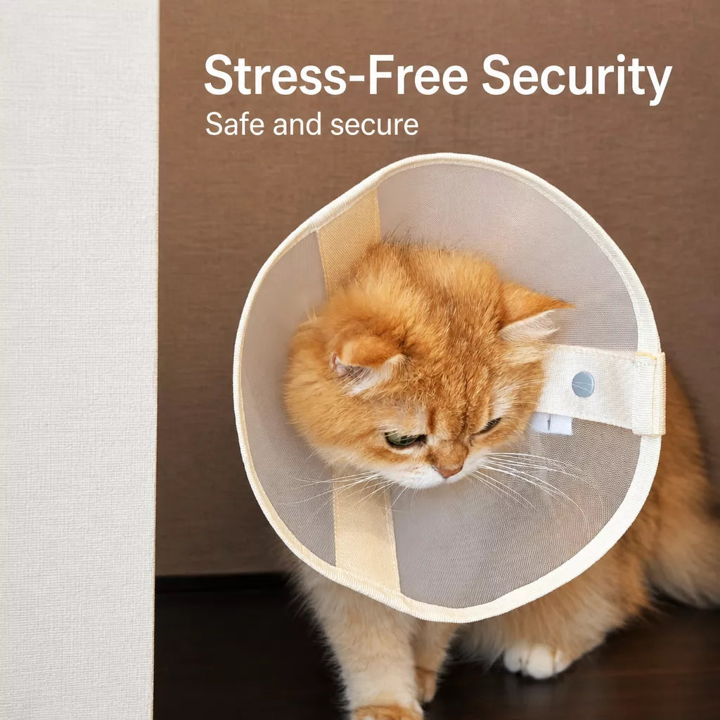 Lightweight Pet Recovery Collar for Dogs & Cats