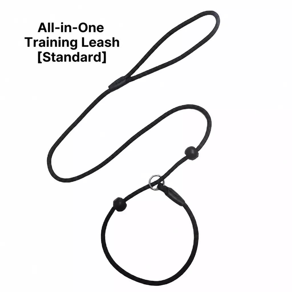 One-Piece Nylon Rope Training Leash for Small and Medium Dogs