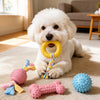 Dog Chew and Play Toys