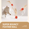 Feather Ball Teaser Toy for Cats