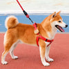 Adjustable Dog Harness and Handheld Leash