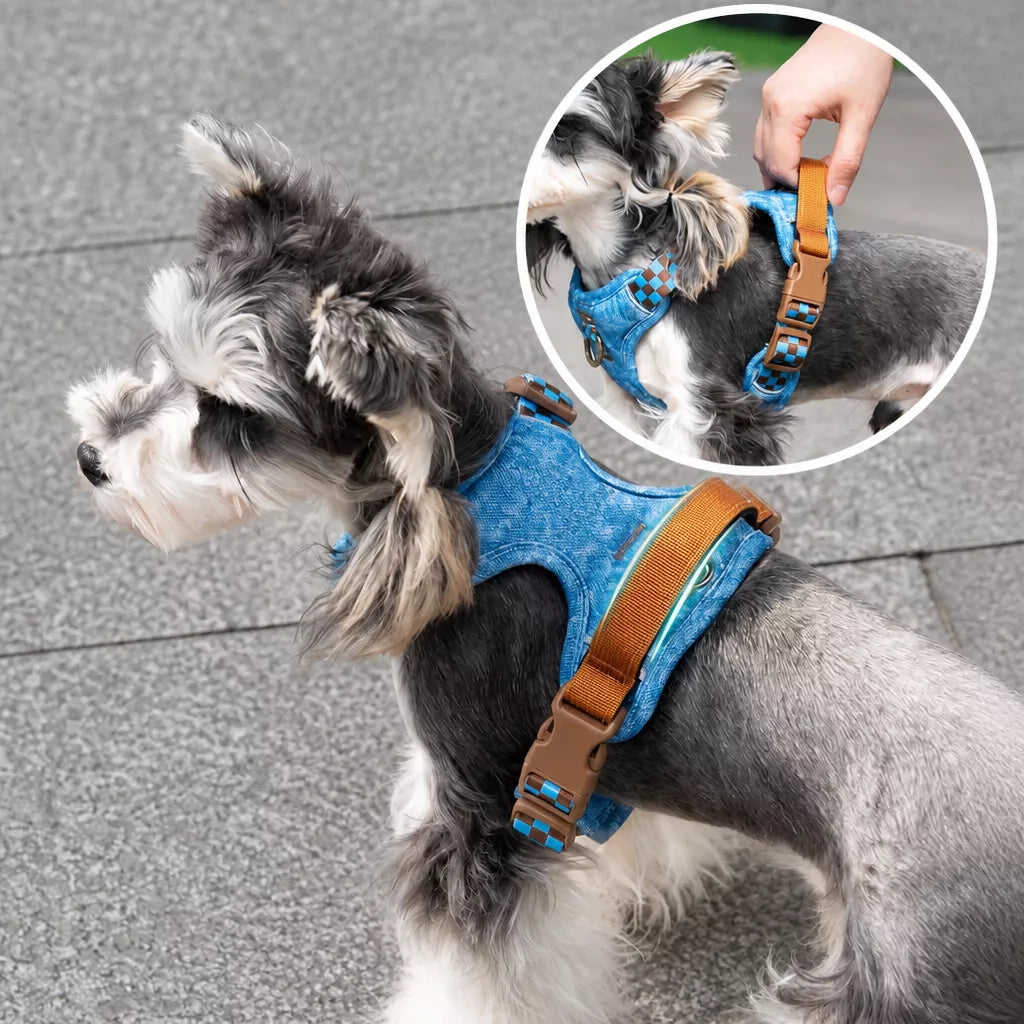 Pet Vest Harness for Small to Medium Dogs