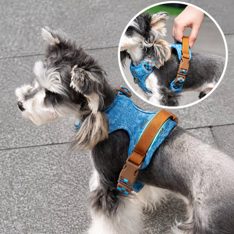 Pet Vest Harness for Small to Medium Dogs