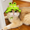 Animal Costume Hats for Dogs & Cats