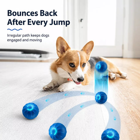 Interactive Squeaky Bouncing Ball Toy for Dogs