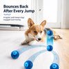 Interactive Squeaky Bouncing Ball Dog Toy