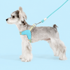 Y-Shaped Nylon Dog Harness and Leash