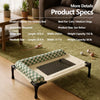 Elevated Pet Cot with Removable Bolster